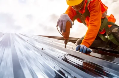 Travaux de zinguerie à Singles